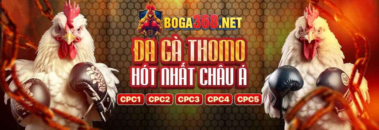 Tổng quan các môn thể thao tại Nổ Hũ Sumvip
